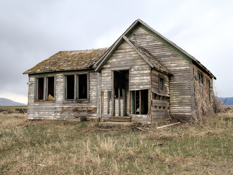 Before you buy the house