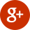 Google +